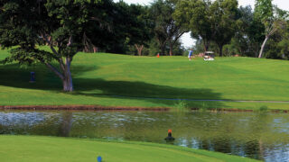 GEESE_waterunit-GOLF-02C-gallery