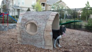DogPark-action8-gallery