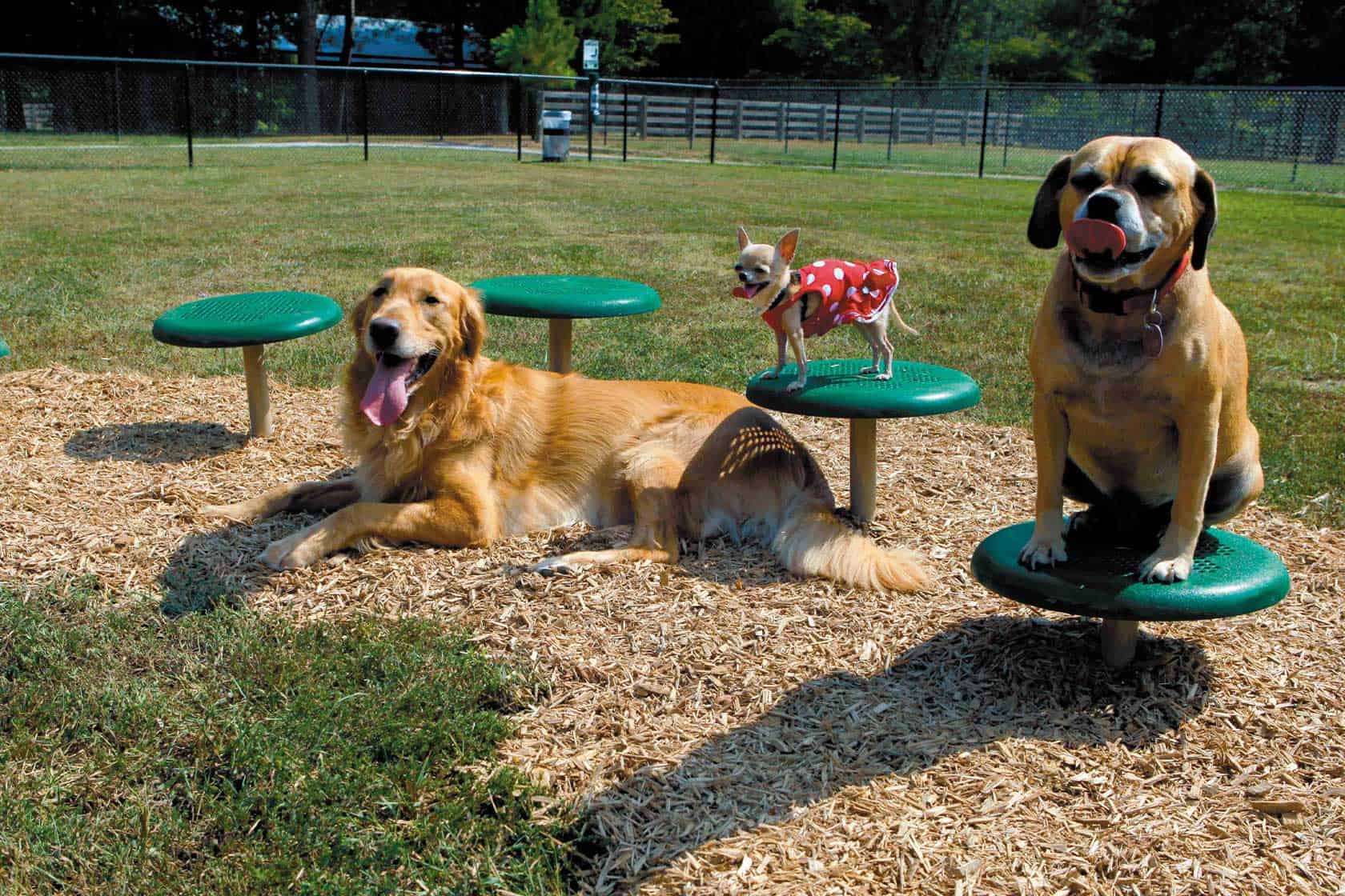 Dog Parks - Commercial Recreation Specialists