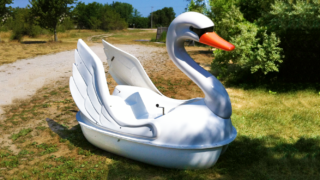 Classic Swan – Product Image